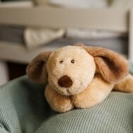 Babyono migdukas šildyklė vyšnių kauliukų šuniukas 1694 Babyono migdukas šildyklė vyšnių kauliukų šuniukas 1694