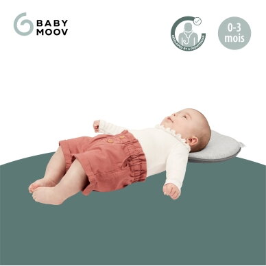 Babymoov Lovenest Original Ergonomic Head Support - Smokey A050229 1