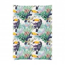 Hard changing mat short (70) Flora & Fauna Tucan Hard changing mat short (70) Flora & Fauna Tucan