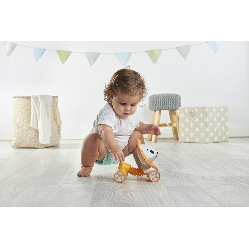Tiny Love tiny rolling toys leonardo 5 Tiny Love tiny rolling toys leonardo 5